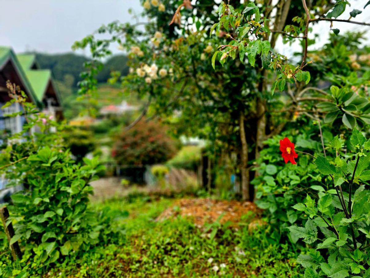 Haven Chalet Nuwara Eliya Buitenkant foto